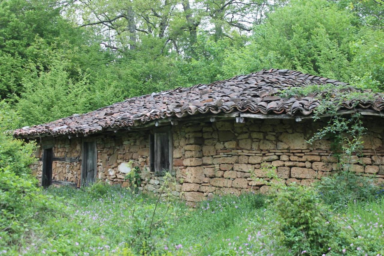 Hunting Residence Asteya Gramatikovo 외부 사진